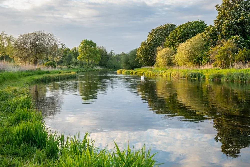 River Test