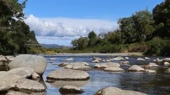 Tongariro River
