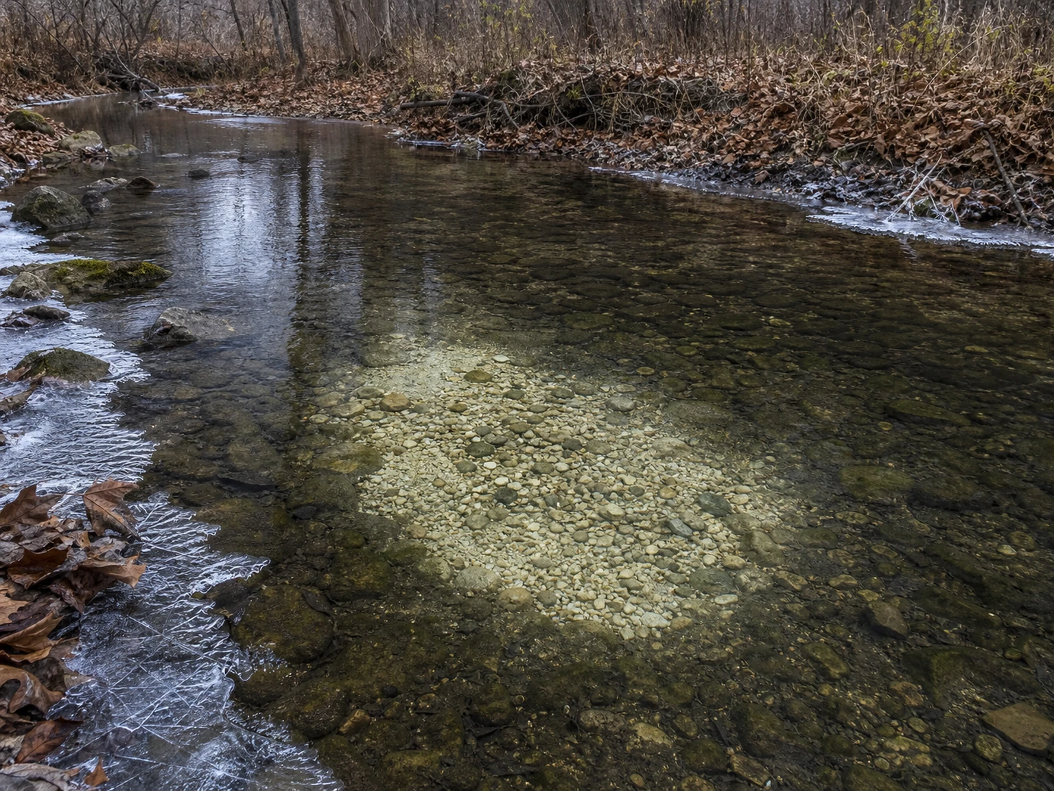 Groundwater seep in a stream bed — clean pale gravel staying ice-free while the margins freeze