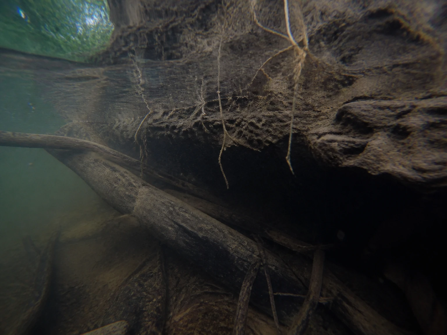 Dark cavity beneath an undercut bank and log jam — typical flathead catfish nesting structure