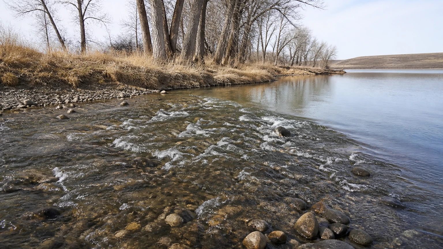 A shallow tributary riffle dropping into a pool — where white bass concentrate on the spring run